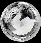 polar