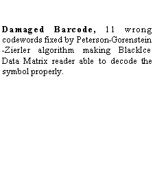 Text Box: Damaged Barcode, 11 wrong codewords fixed by Peterson-Gorenstein-Zierler algorithm making BlackIce Data Matrix reader able to decode the symbol properly. 