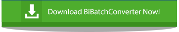 Try BiBatchConverter 4.27 Now!