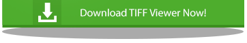 TIFF Viewer 11.48 is released!
