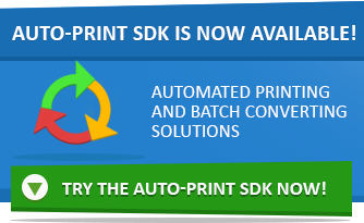 Auto-print SDK is released!