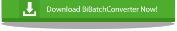 Try BiBatchConverter Now!