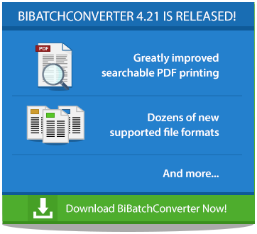 Try BiBatchConverter 4.21 Now!