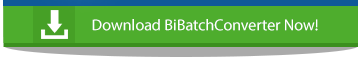 BiBatchConverter 4.31 is released!