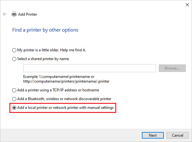 How up LPR/LPD Printer on Windows 10 print RAW data type?