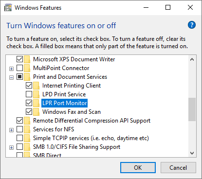 How up LPR/LPD Printer on Windows 10 print RAW data type?