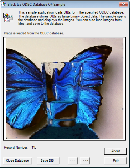 odbc_c#.png