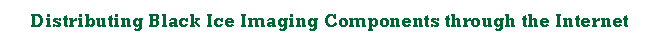 Text Box: Distributing Black Ice Imaging Components through the Internet