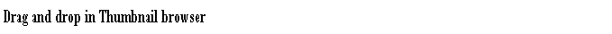 Text Box: Drag and drop in Thumbnail browser