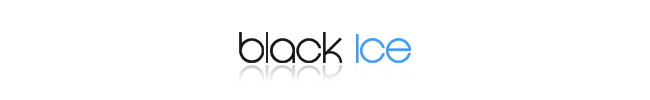 Black Ice Software logo