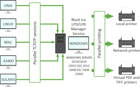 Black Ice LPD Server