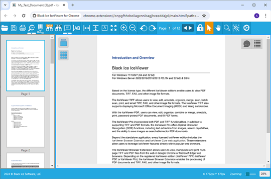 IceViewer Browser Extension for Chrome and Edge