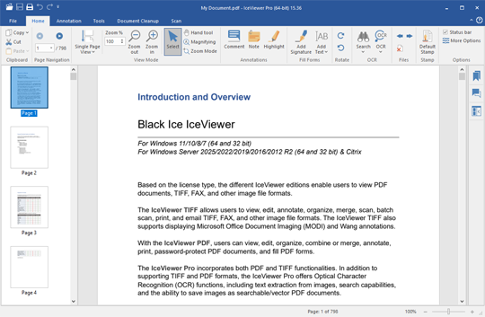 IceViewer Browser Extension for Chrome and Edge