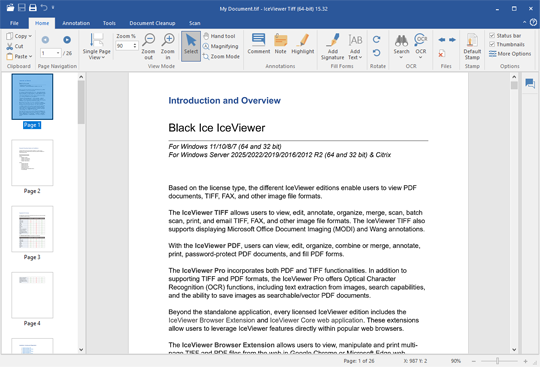 IceViewer for Windows Desktops and Servers