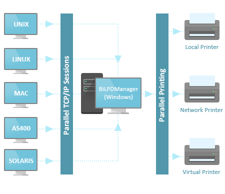 How does BiLPDManager work?